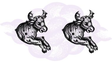 Byk i Byk - kompatybilność w horoskopie partnerskim