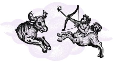 Byk i Strzelec - kompatybilność w horoskopie partnerskim